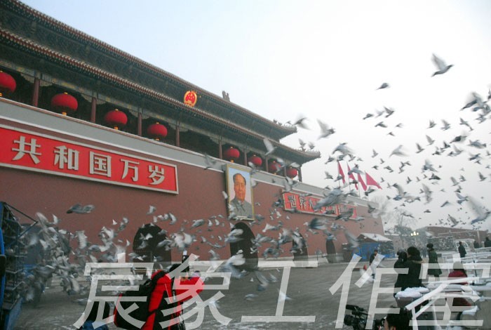 2007年元旦放飛10000羽和平鴿