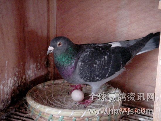 ĸڸCУՄa(chn)^