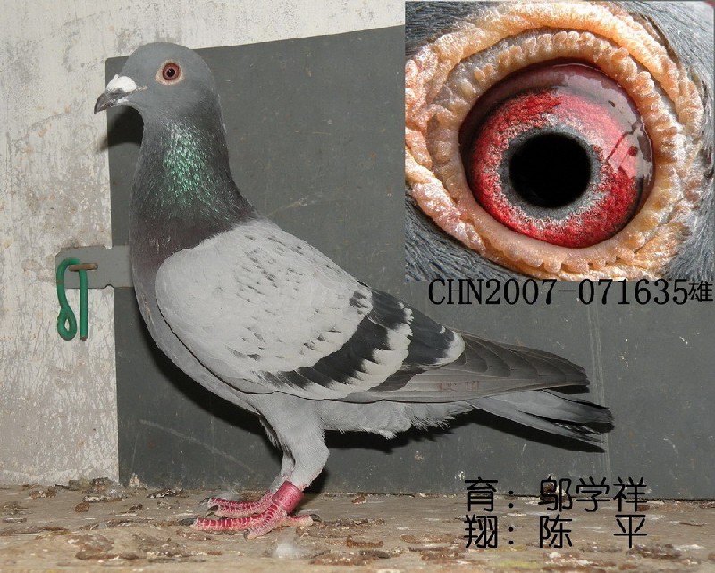 ڶƽӭh(hun)̖(ho)071635.c(din)ңɰ