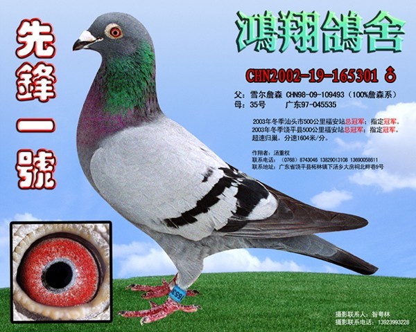 ǰhһ̖֮游hһ̖