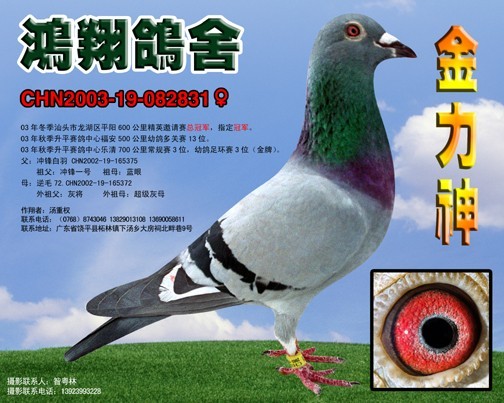 前鋒一號之外祖母金力神