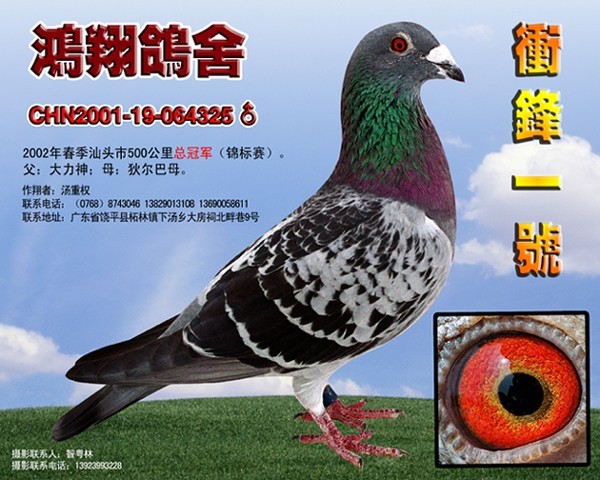 金力神之祖父沖鋒一號