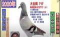 _ِd20ļPpp