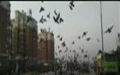 l(xing)hِ㘷(l)200Yِ_\ҕl