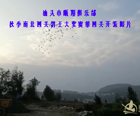 ^㘷2020＾ϱP(gun)(jing)ِP(gun)_\Ƭ