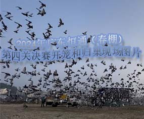 2024V|ͨP(gun)Qِ_\͚wF(xin)(chng)DƬ