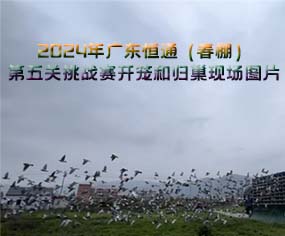 2024V|ͨP(gun)(zhn)ِ_\͚wF(xin)(chng)DƬ