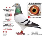 ˇ(qiu)