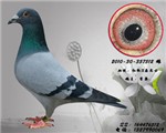 70711(quanlovening)